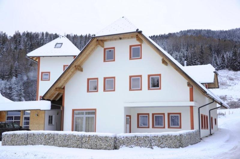 Appartementhaus Hochegg Lachtal Buitenkant foto